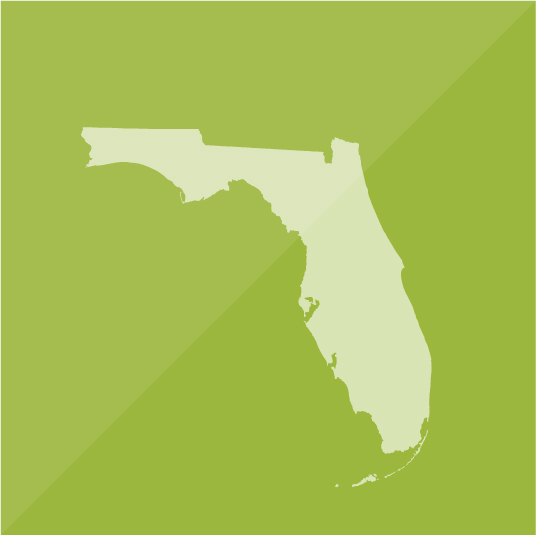 Celebrate Literacy Week, Florida